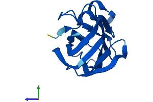 Protein Structure (PS) image for Nuclear Receptor 2C2-Associated Protein (NR2C2AP) (AA 1-140) protein (His tag) (ABIN7557092)