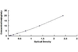 Guanylate Binding Protein 2, Interferon-Inducible (GBP2) ELISA Kit