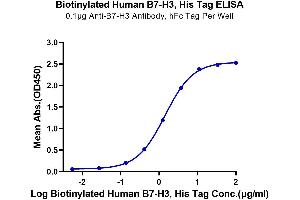 Immobilized Anti-B7-H3 Antibody, hFc Tag at 1 μg/mL (100 μL/well) on the plate. (CD276 Protein (CD276) (AA 29-245) (His-Avi Tag,Biotin))