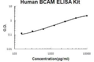 BCAM ELISA Kit