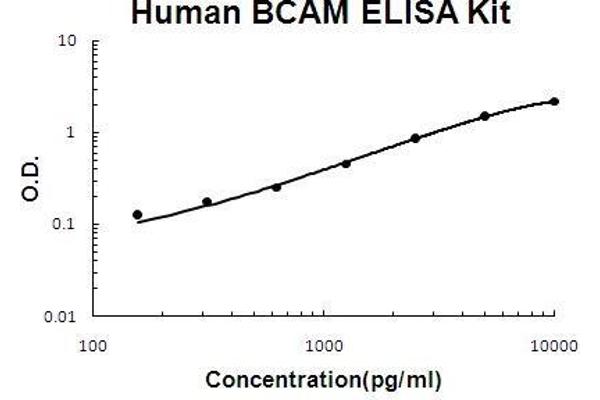 BCAM ELISA Kit