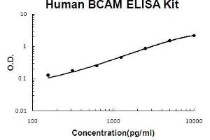 Human BCAM PicoKine ELISA Kit standard curve (BCAM ELISA Kit)
