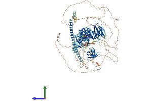 Protein Structure (PS) image for RIMS Binding Protein 2 (RIMBP2) (AA 1-1052) protein (His tag) (ABIN7555188)