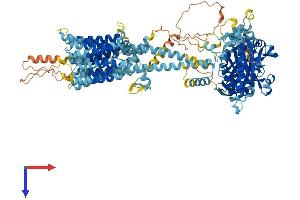 ADCY7 Protein (AA 1-1080) (His tag)