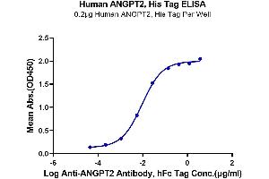 ELISA image for Angiopoietin 2 (ANGPT2) (AA 275-496) protein (His-Avi Tag) (ABIN7273860)