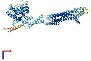 MX2 Protein (AA 1-655) (His tag)
