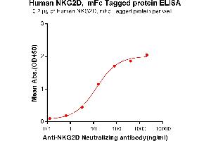 ELISA plate pre-coated by 2 μg/mL (100 μL/well) Human NKG2D, mFc tagged protein (ABIN6961134) can bind Anti-NKG2D Neutralizing antibody in a linear range of 0. (KLRK1 Protein (mFc Tag))