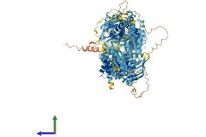 AlphaFold protein structure predicition of Mouse Recombinant Abca6 Protein, UniprotID Q8K441