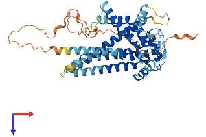 SLC25A46 Protein (AA 1-418) (His tag)