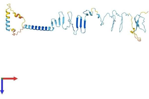 SGCB Protein (AA 1-320) (His tag)