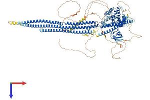 SRGAP1 Protein (AA 1-1062) (His tag)