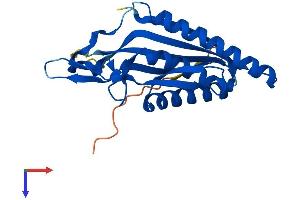 ATG101 Protein (AA 1-218) (His tag)
