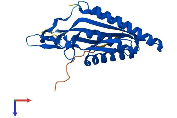 ATG101 Protein (AA 1-218) (His tag)