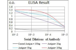 ELISA image for anti-Transforming Growth Factor, beta 1 (TGFB1) (AA 62-195) antibody (ABIN1846085)