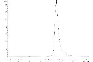 Size-exclusion chromatography-High Pressure Liquid Chromatography (SEC-HPLC) image for Leukocyte-Associated Immunoglobulin-Like Receptor 2 (LAIR2) (AA 22-152) protein (His-Avi Tag,Biotin) (ABIN7275121)
