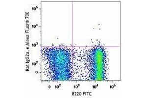 Flow Cytometry (FACS) image for Rat anti-Mouse IgD antibody (Alexa Fluor 700) (ABIN2667246) (Ratte anti-Maus IgD Antikörper (Alexa Fluor 700))