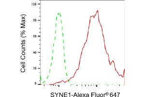 Flow cytometric analysis of SYNE1 expression in HepG2 cells using SYNE1 antibody (ABIN7800419), 1:2,000). (Rekombinanter SYNE1 Antikörper)
