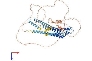 GJa10 Protein (AA 1-543) (His tag)