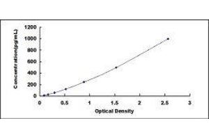 ELISA image for Tumor Necrosis Factor (Ligand) Superfamily, Member 14 (TNFSF14) ELISA Kit (ABIN417531)