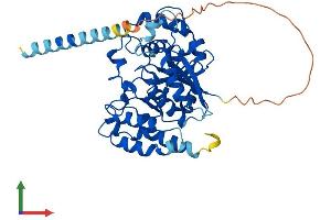 Protein Structure (PS) image for Glucoside Xylosyltransferase 1 (GXYLT1) (AA 1-404) protein (His tag) (ABIN7557194)