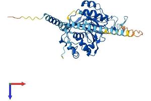 B4GALT5 Protein (AA 1-388) (His tag)