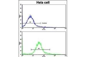 Flow cytometric analysis of hela cells using CA9 Antibody (Center)(bottom histogram) compared to a negative control cell (top histogram).