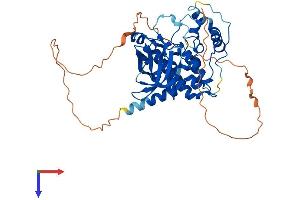 MOK Protein (AA 1-420) (His tag)