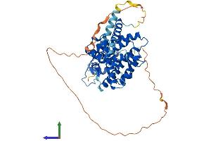 Protein Structure (PS) image for Nuclear Receptor Subfamily 1, Group H, Member 3 (NR1H3) (AA 1-447) protein (His tag) (ABIN7554777)