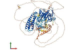 Protein Structure (PS) image for Lipase, Hormone-Sensitive (LIPE) (AA 1-1076) protein (His tag) (ABIN7554402)