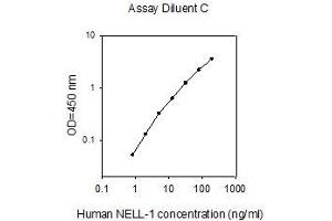 ELISA image for NEL-Like 1 (NELL1) ELISA Kit (ABIN4883886) (NELL1 ELISA Kit)