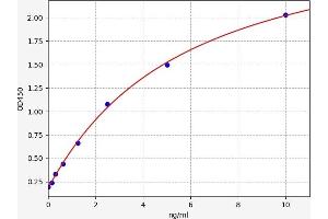 NOD2 ELISA Kit