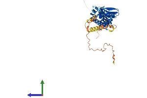 Protein Structure (PS) image for Blood Vessel Epicardial Substance (BVES) (AA 1-360) protein (His tag) (ABIN7555049)