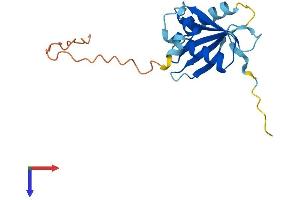 TSEN15 Protein (AA 1-171) (His tag)