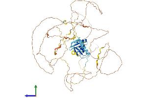 Protein Structure (PS) image for GRB2-Associated Binding Protein 2 (GAB2) (AA 1-676) protein (His tag) (ABIN7553988)