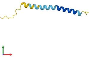 AlphaFold protein structure predicition of Human Recombinant SMCO4 Protein, UniprotID Q9NRQ5