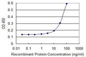 Detection limit for recombinant GST tagged CDK4 is 3 ng/ml as a capture antibody. (CDK4 Antikörper  (AA 1-303))