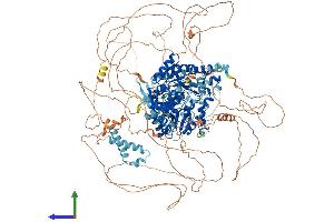 Protein Structure (PS) image for Bloom Syndrome RecQ Like Helicase (BLM) (AA 1-1416) protein (His tag) (ABIN7562651)