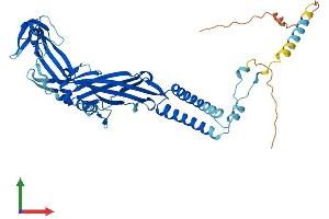 Protein Structure (PS) image for Purinergic Receptor P2X, Ligand-Gated Ion Channel, 6 (P2RX6) (AA 1-441) protein (His tag) (ABIN7550482)