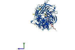 Protein Structure (PS) image for Dipeptidyl-Peptidase 9 (DPP9) (AA 1-862) protein (His tag) (ABIN7558925)