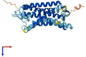 OR2H1 Protein (AA 1-316) (His tag)