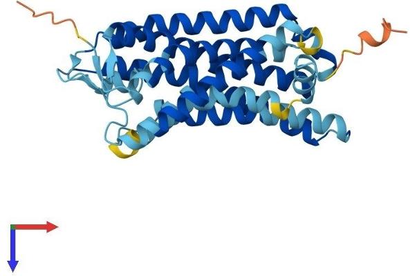 OR2H1 Protein (AA 1-316) (His tag)