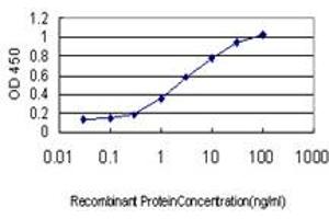ELISA image for anti-Interferon Regulatory Factor 2 (IRF2) (AA 216-316) antibody (ABIN598766) (IRF2 Antikörper  (AA 216-316))