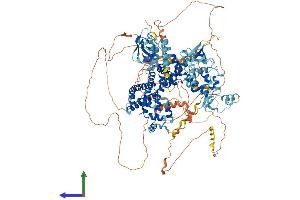 Protein Structure (PS) image for Glutamate Receptor, Ionotropic, delta 2 (Grid2) Interacting Protein (GRID2IP) (AA 1-1211) protein (His tag) (ABIN7554051)