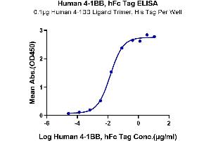 ELISA image for Tumor Necrosis Factor Receptor Superfamily, Member 9 (TNFRSF9) (AA 24-186) protein (Fc-Avi Tag) (ABIN7273924)