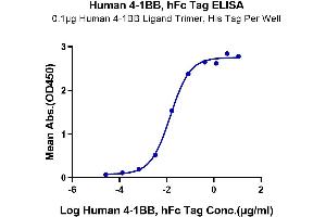 Immobilized Human 4-1BB Ligand Trimer, His Tag at 1 μg/mL (100 μL/Well) on the plate. (CD137 Protein (AA 24-186) (Fc-Avi Tag))
