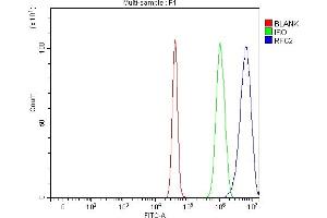 Flow Cytometry analysis of U251 cells using anti-RFC2 antibody (ABIN7601644).