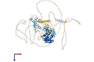 TGS1 Protein (AA 1-853) (His tag)