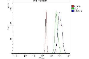 Flow Cytometry analysis of HL-60 cells using anti-RASSF2 antibody (ABIN7599274).