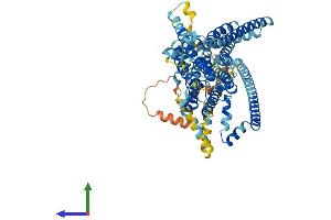 Protein Structure (PS) image for Transmembrane Channel-Like 4 (Tmc4) (AA 1-694) protein (His tag) (ABIN7558258)