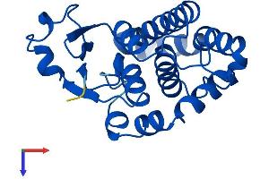 GSTP2 Protein (AA 1-210) (His tag)